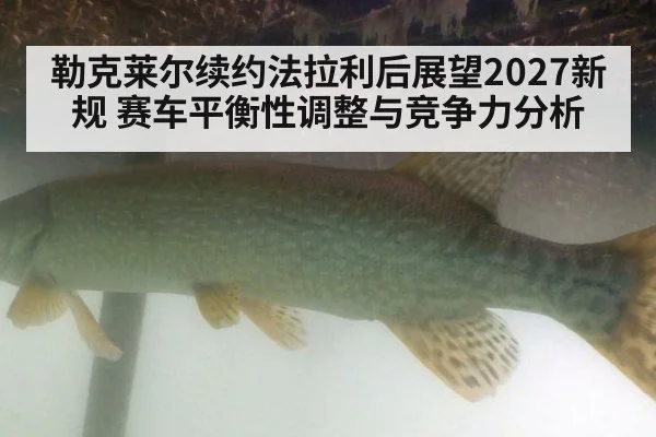 勒克莱尔续约法拉利后展望2027新规 赛车平衡性调整与竞争力分析